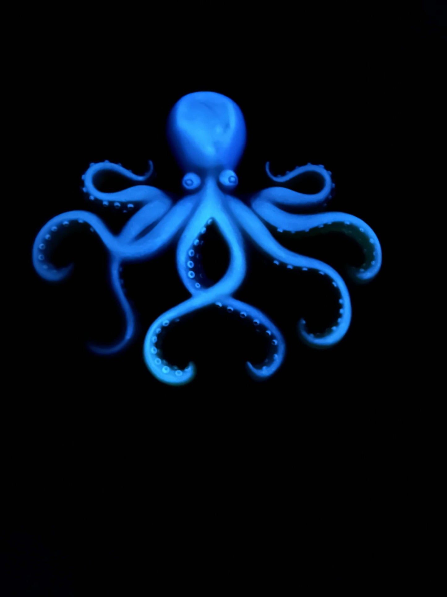 Octopus Wall Art: Blue, Orange, Yellow - Glow Blue
