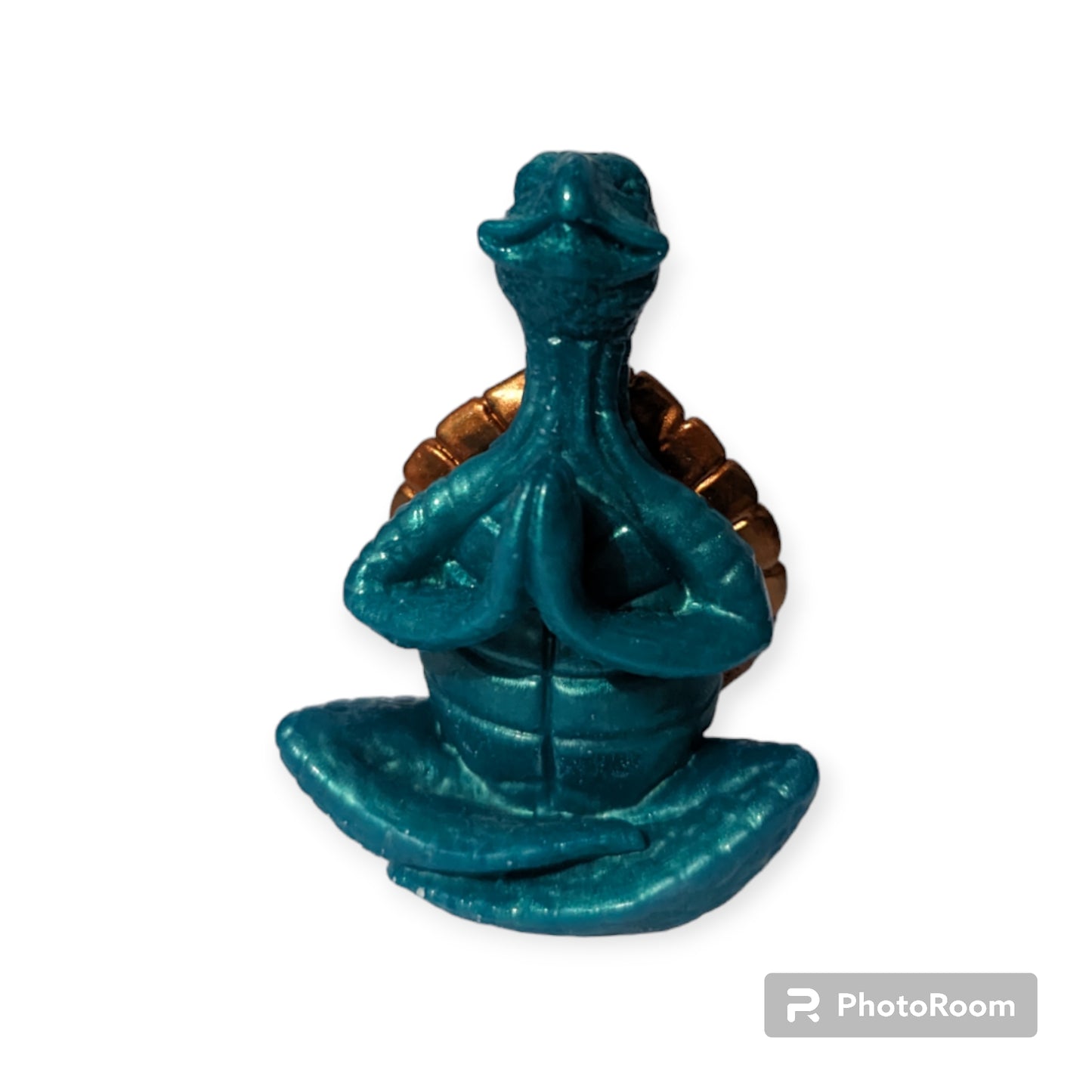 Meditating Sea Turtle