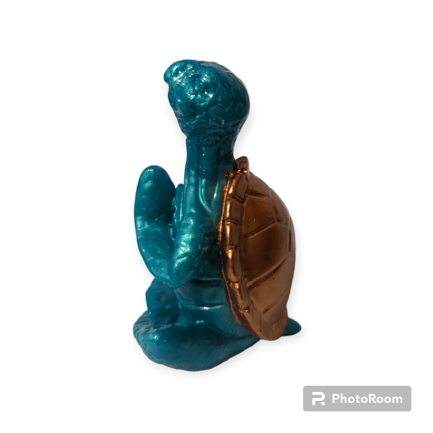 Meditating Sea Turtle